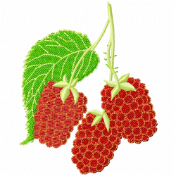 Raspberry Embroidery Design 8 Raspberry Embroidery Design 8